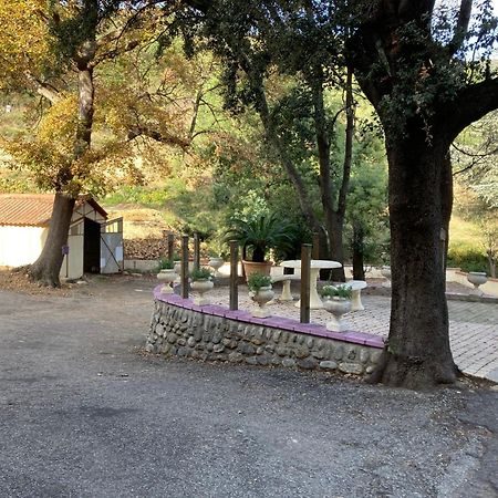 Domaine Des Anges Amélie-les-Bains-Palalda Exterior foto